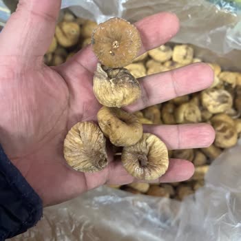 Kötü Kaliteli İncir Ve İade Sorunu