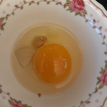 Organik Yumurtada Şok: İçinden Civciv Çıktı!