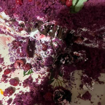 Hacı Bekir Künç Gaziantepli Bir Daha Asla