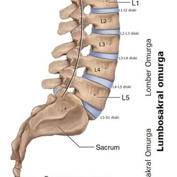 Ameliyat Sürecinde Sigorta Mağduriyeti Ve Oyalama Taktikleri