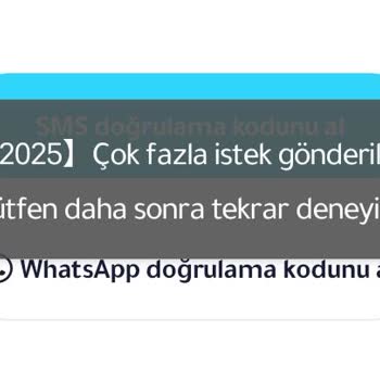 Hesap Giriş Sorunu Ve Cihaz Kısıtlaması