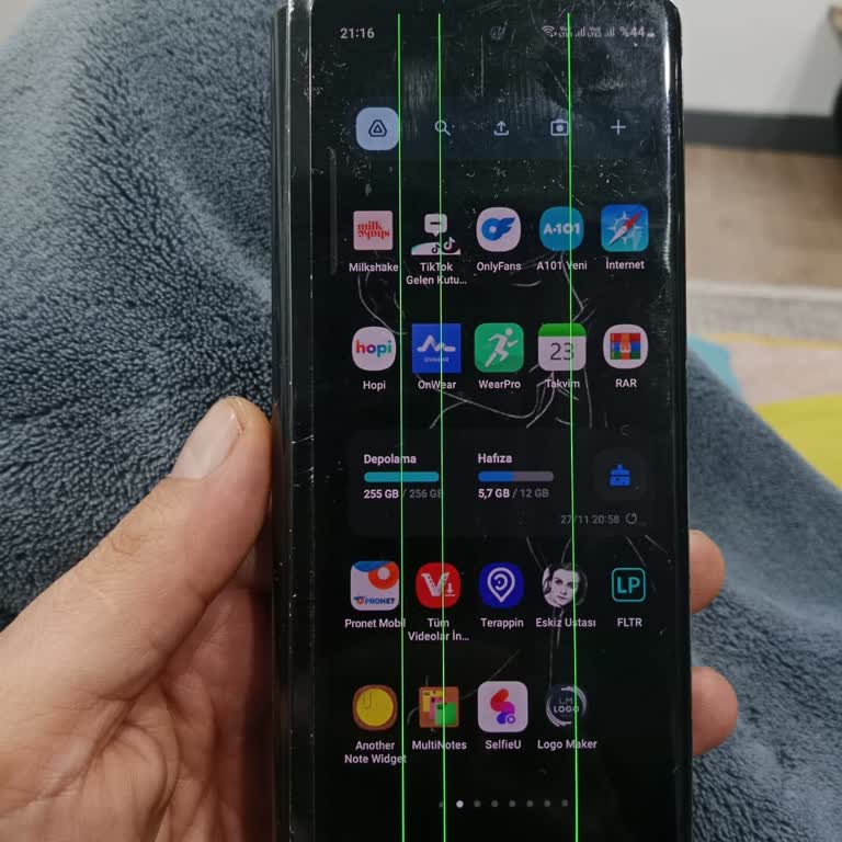 Ekrandaki Yeşil Çizgilerle İlgili Yardım Talebi