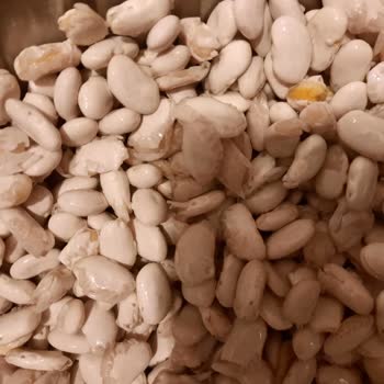 Kırık Bakliyat Ürünü Ve İade Sorunu