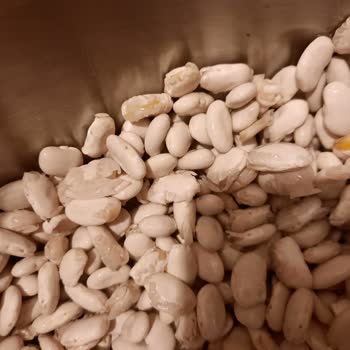 Kırık Bakliyat Ürünü Ve İade Sorunu