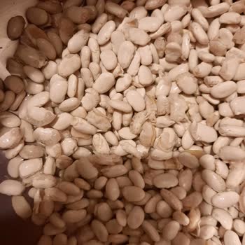 Kırık Bakliyat Ürünü Ve İade Sorunu