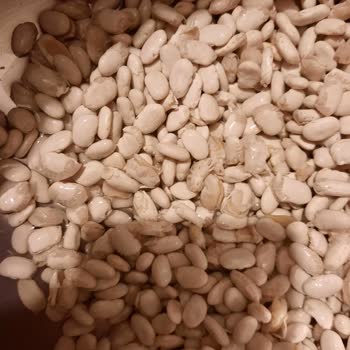 Kırık Bakliyat Ürünü Ve İade Sorunu