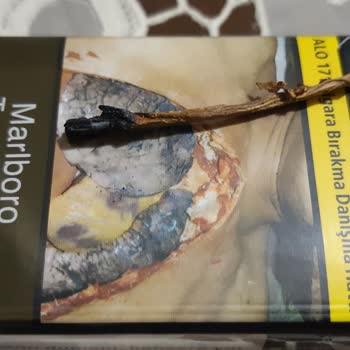 Marlboro Touch Blue'dan Çıkan Şok Edici Dal