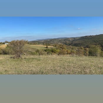 Ormanköy Projesinde İlerleme Yok: Güvenimiz Sarsıldı