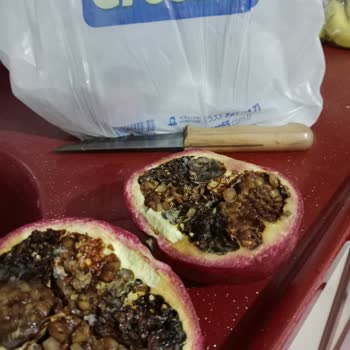 Bozuk Meyveler Çocuklarımın Sağlığını Tehdit Ediyor