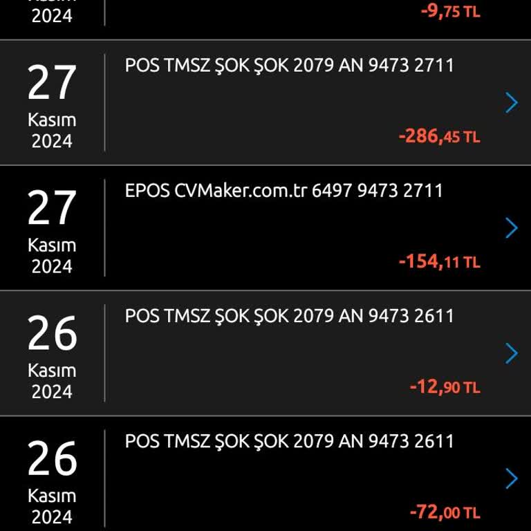 CV Hazırlama Programı Üyelik Sorunu