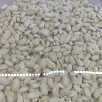 Duru Bulgur Kuru Fasulye Kalitesizliği İle Şaşkınlık