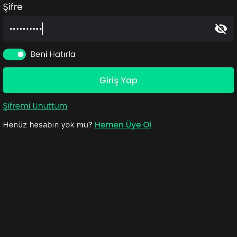 Bitay Hesabına Erişim Sorunu: Acil Çözüm Bekliyorum