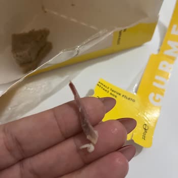 Tehlikeli Tavuk Kemiği: İnsan Hayatını Tehlikeye Atan Dikkatsizlik