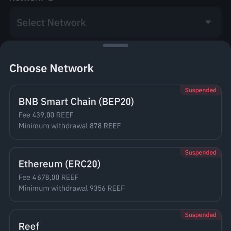 Reef Coin Transferinde Yaşanan Sorunlar