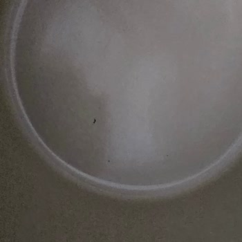 Neoflam Tencere Seti: Kullanımda Kaplama Soyulması Ve Sağlık Riski