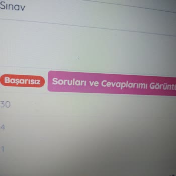 Hijyen Sertifikası Sınavında Bağlantı Sorunu