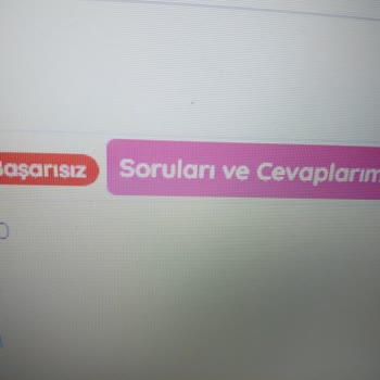 Hijyen Sertifikası Sınavında Bağlantı Sorunu