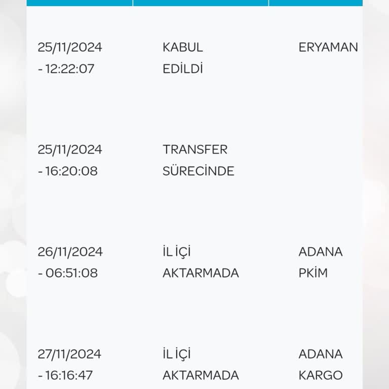 Kargomun Adana'da Bekletilmesi