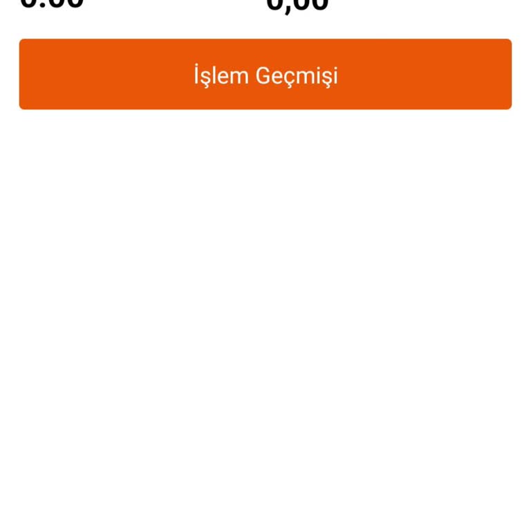 Bitci'de Kaybolan Beer Coin Sorunu