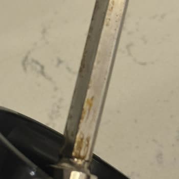 Bosch Mutfak Robotunda Garanti Hayal Kırıklığı