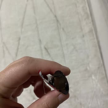 Açık Paket Ve İlgisizlik: Sağlık Tehlikede!
