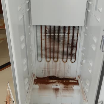 Arçelik Buzdolabında Paslanma Ve Koku Sorunu