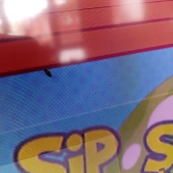 Sunny Televizyonunda Bitmeyen Sorunlar