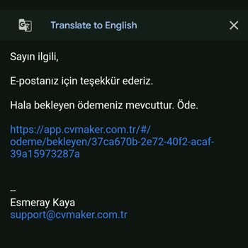 CV Hazırlama Sitesinde Beklenmedik Ödeme Sorunu