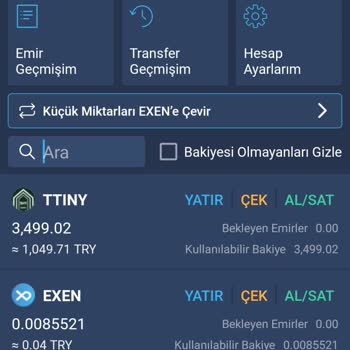 Bitexen'de Aniden Düşen Coin Değeri