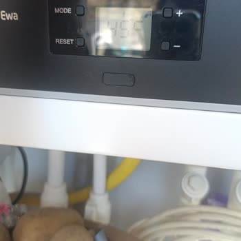 Warmhaus Isıtmama Mağduriyeti