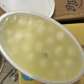 Ekici Peynirde Şaşırtıcı Küflenme Sorunu