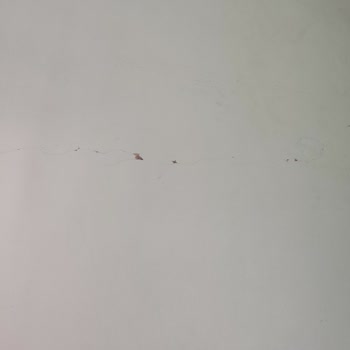 Hasar Dosyasında Muafiyet Sorunu