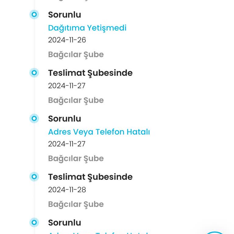Kargo Teslimatında Adres Yanlış İşaretleme Sorunu