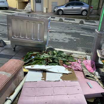 Çayırova'da Çöp Sorunu Ve İlgisizlik