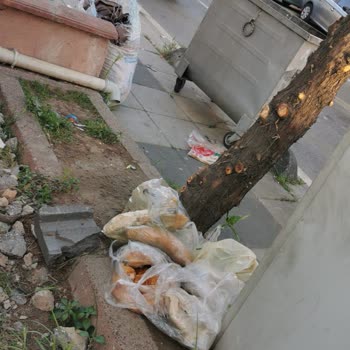 Çayırova'da Çöp Sorunu Ve İlgisizlik