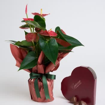 Yanlış Ürün Teslimatı: Beklentiler Karşılanmadı