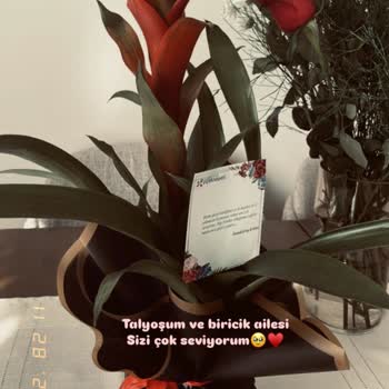 Yanlış Ürün Teslimatı: Beklentiler Karşılanmadı