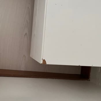 Ankara Polat Nakliyat Eşyalarımın Hepsini Kırdılar!