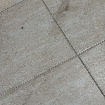 Halı Yıkama Hizmetinde Yetersiz Müşteri İlgisi Ve Eksik Temizlik