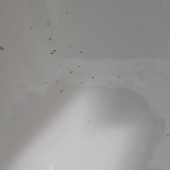 Lavabodaki Üretim Hatası Ve Fabrika İnatçılığı