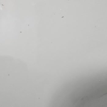 Lavabodaki Üretim Hatası Ve Fabrika İnatçılığı