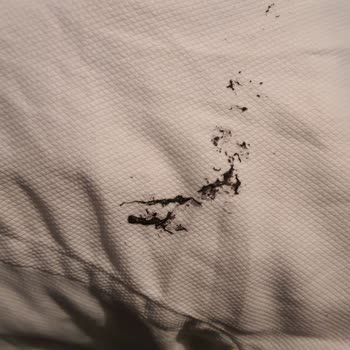 Arçelik 9100M Washing Machine Damaged My Laundry with Rubber and Rust Stains