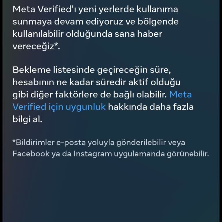Meta Verified Başvurum Neden Beklemede?