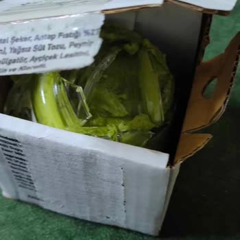 Eptt AVM'de Ürün İade Süreci Sorunu