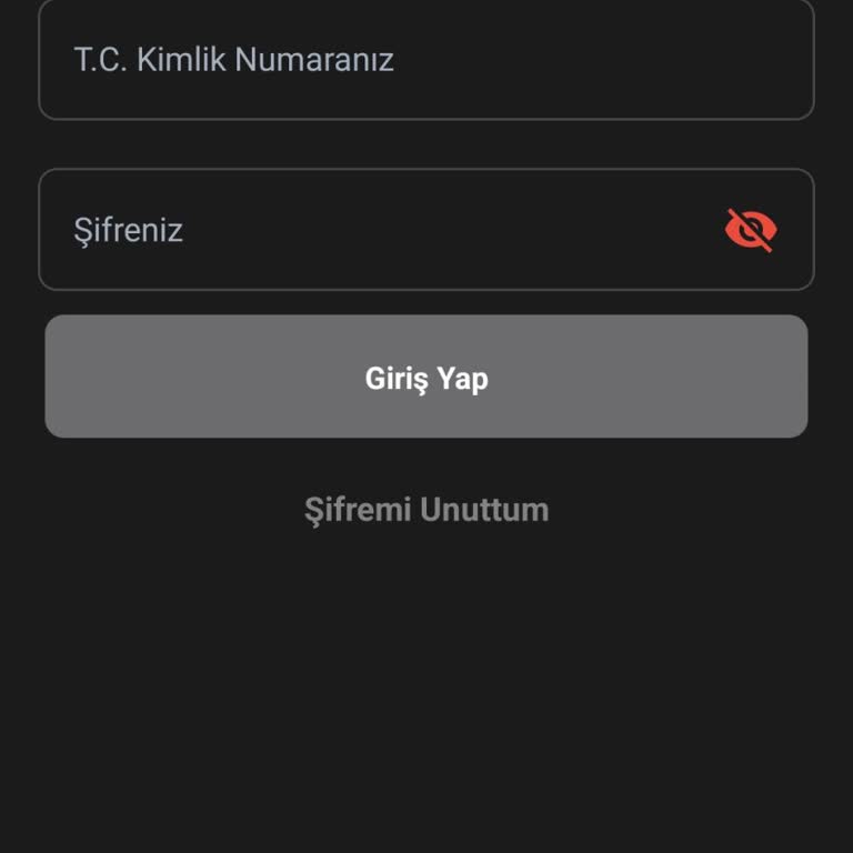 Acil Yardım: Blokeli Payfix Hesabımın Sorunu