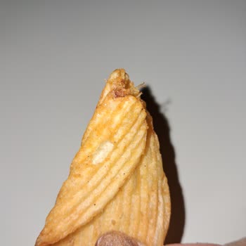 Cips Paketinden Çıkan Şok Edici Yabancı Madde