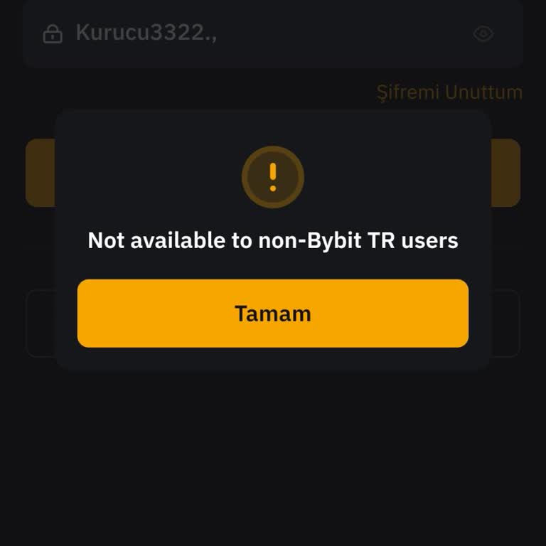 How to Reactivate Suspended Bybit Account