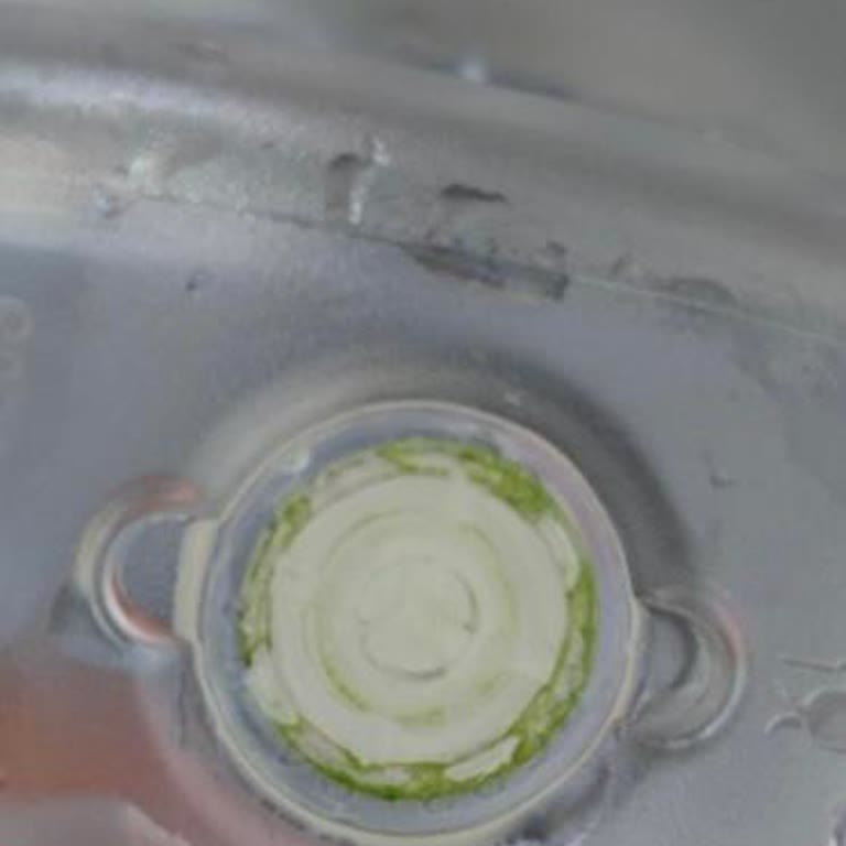Brita Pitcher Bottom Turns Green with Algae Despite Regular Filter Changes