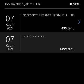 Gece Saatlerinde Yapılan İşlemde Para Kayboldu: Müşteri Temsilcileri Çözüm Sunamıyor
