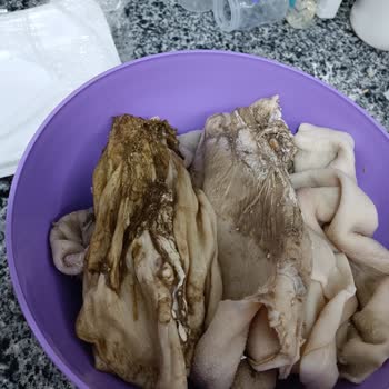 Migros Sanal Market'ten Gelen Temizlenmemiş Kuzu İşkembe Şoku